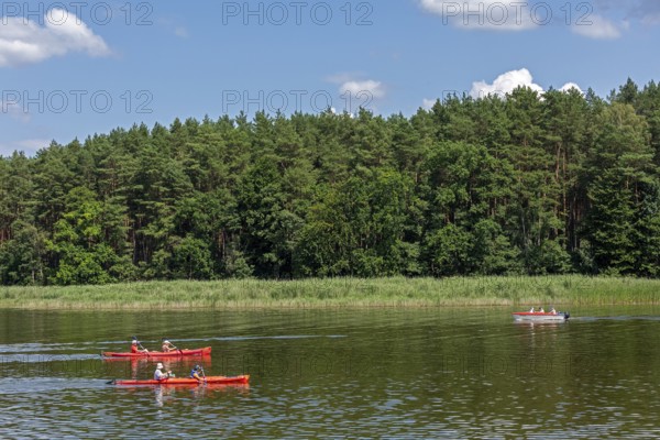 Canoes, Zotzensee, Mecklenburg Lake District, Mecklenburg-Western Pomerania, Germany