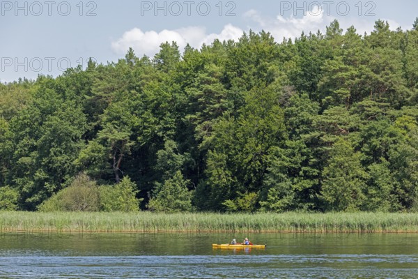 Canoe, Zotzensee, Mecklenburg Lake District, Mecklenburg-Western Pomerania, Germany