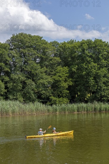 Canoeing, Mössensee, Mecklenburg Lake District, Mecklenburg-Western Pomerania, Germany