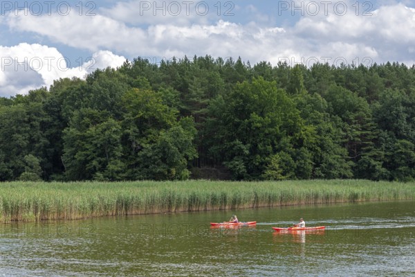 Canoes, Vilzsee, Mecklenburg Lake District, Mecklenburg-Western Pomerania, Germany