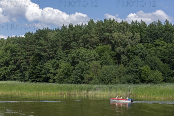 Motorboat, Zotzensee, Mecklenburg Lake District, Mecklenburg-Western Pomerania, Germany