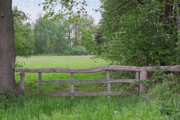 Altes Holzgatter, Münsterland, North Rhine-Westphalia, Germany