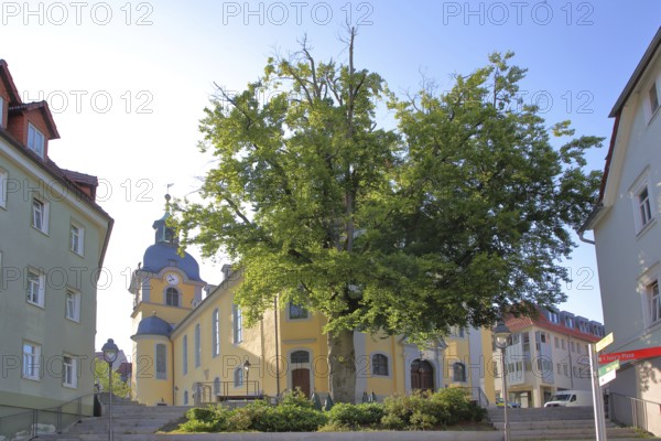 St Mary's Church and tree as a natural monument, main church, Suhl, Franconia, Thuringia, Germany