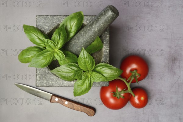 Basil in mortar and tomato, Ocimum basilicum, Solanum lycopersicum