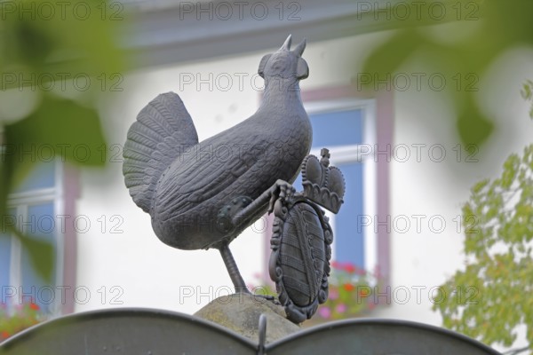 Grey bronze sculpture and coat of arms with crown at the Hennebrunnen fountain, bird figure, screaming, tail feathers, market square, Ilmenau, Thuringian Forest, Thuringia, Germany