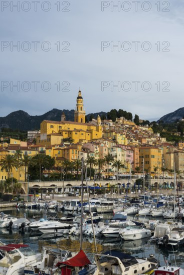 Town with colourful houses by the sea, sunrise, Menton, Alpes Maritimes, Provence Alpes Cote d'Azur, French Riviera, South of France, France