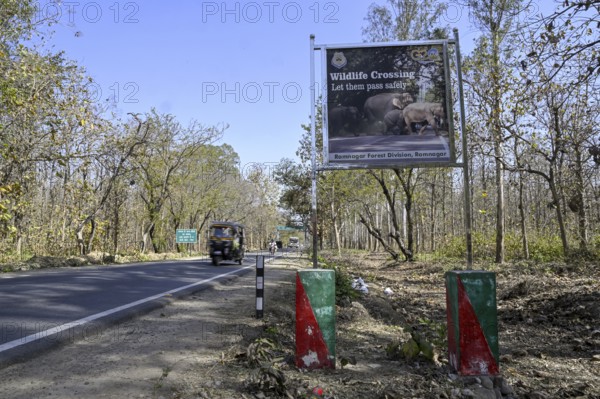 Shield Wildlife Crossing, Corbett National Park, near Ramnagar, Uttarakhand State, India