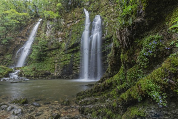 Two beautiful waterfalls flow gracefully into a tranquil pool lined with vibrant green foliage. This tranquil, natural spot invites you to explore and relax in the wilderness. cascades du Flumen, st Claude, jura, France