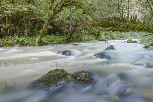 A river flows through a lively forest with smooth rocks that are partially submerged in the water. The sunlight filters through the trees and creates a peaceful atmosphere in the natural surroundings. Jura, France