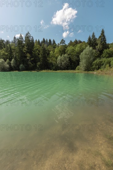 Turquoise-coloured water glistens in the sun, while green trees line the shore under a clear blue sky. The tranquil lake invites you to relax and enjoy the natural beauty. Jura, France