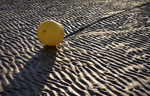 Buoy, yellow, on the sandy beach, Grandcamp-Maisy beach, low tide, evening light, Normandy, Calvados, France