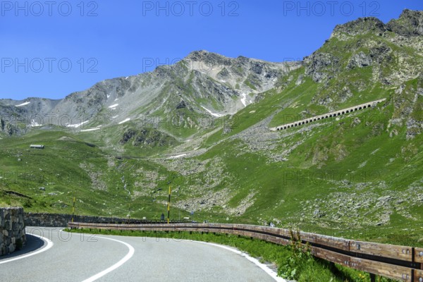 View of front curves of pass road mountain road alpine road above tree line, in the centre right in the background gallery above carriageway road as protection against falling rocks on southern ascent descent south ramp of to alpine pass Great Saint Bernard Pass, Colle del Gran San Bernardo, Col du Grand Saint Bernard, Valle d'Aosta, Italy