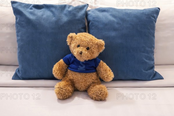Bed cushion plush bear