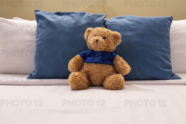 Double bed plush bear