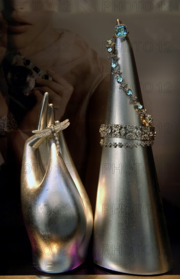 Jewellery displays in a showcase at Tiffany, New York City, USA