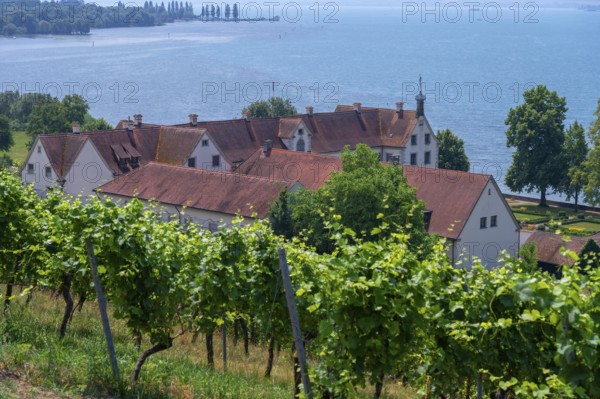 Maurach Baroque Castle on Lake Constance, Birnau-Maurach 4, Uhldingen-Mühlhofen, Baden-Württemberg, Germany