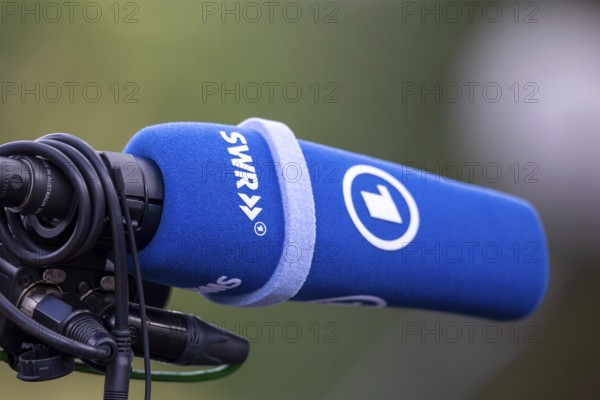 Symbolic image ARD, SWR: Close-up of a microphone