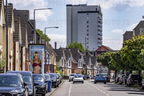 Residential buildings, on Nobelstrasse, in the Wiesdorf district, in Leverkusen, Bayer AG's Werkssiedlung II, heritage-protected building, residential tower block in the background, advertising pillar Caledonia Werbung, Leverkusen, North Rhine-Westphalia, Germany