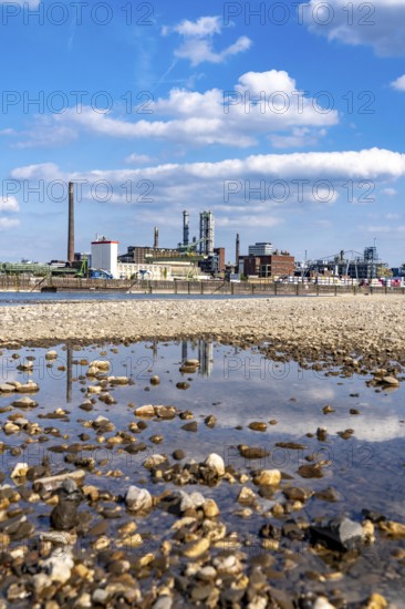 Low water of the Rhine near Leverkusen, Rhine bank, left bank of the Rhine, near Cologne-Merkenich, opposite Chempark Leverkusen, cargo ship on the Rhine, extremely low water level, no restrictions on inland navigation yet, North Rhine-Westphalia, Germany