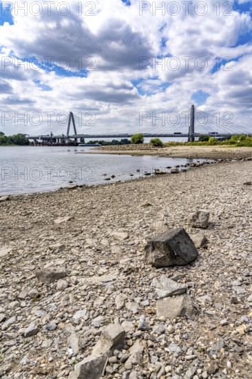 Low water level of the Rhine at Leverkusen, new Rhine bridge on the A1 motorway, extremely low water level of the Rhine, no restrictions on inland navigation yet, North Rhine-Westphalia, Germany