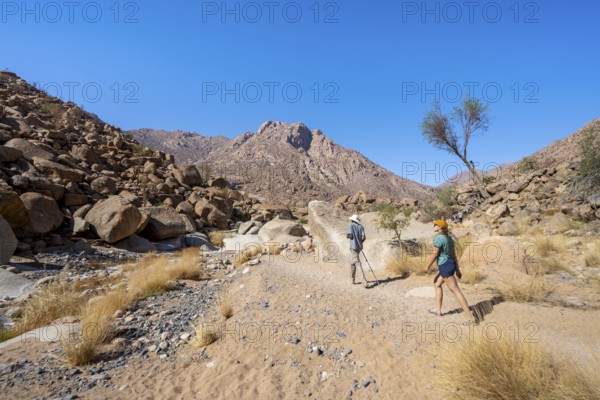 Tourist with guide on the White Lady Trail, Tsisab Gorge, desert landscape, Brandberg, Erongo, Damaraland, Namibia