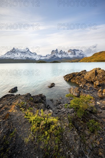 Shore of the blue lake Lago Pehoe in the evening light, Cuernos del Paine mountain range, Torres del Paine National Park, Chile