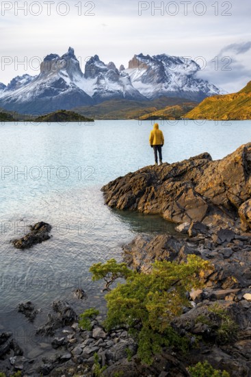Young man on the shore of the blue lake Lago Pehoe in the evening light, Cuernos del Paine mountain range, Torres del Paine National Park, Chile