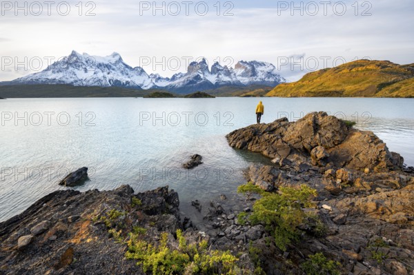 Young man on the shore of the blue lake Lago Pehoe in the evening light, Cuernos del Paine mountain range, Torres del Paine National Park, Chile
