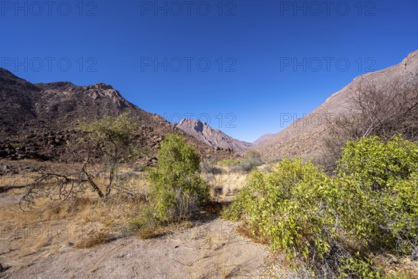 Tsisab Gorge, White Lady Trail, desert landscape, Brandberg, Erongo, Damaraland, Namibia
