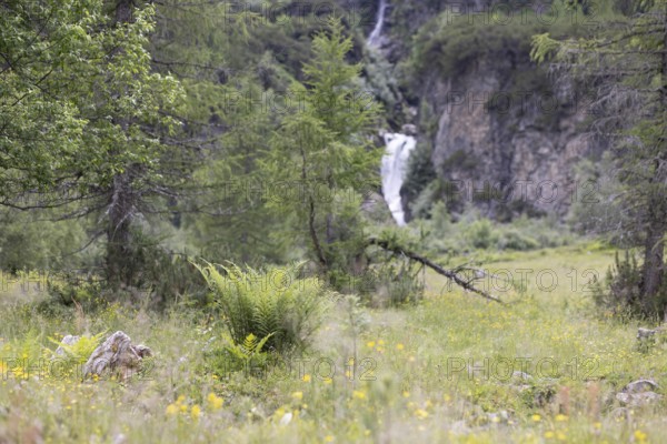 Kolm Saigurn, Rauris, Pinzgau, Salzburg, Austria