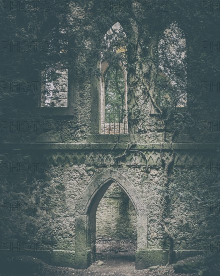 Ruins of a Gothic chapel in the forest near Greifenstein Castle, Heiligenstadt in Upper Franconia, Franconia, Bavaria, Germany