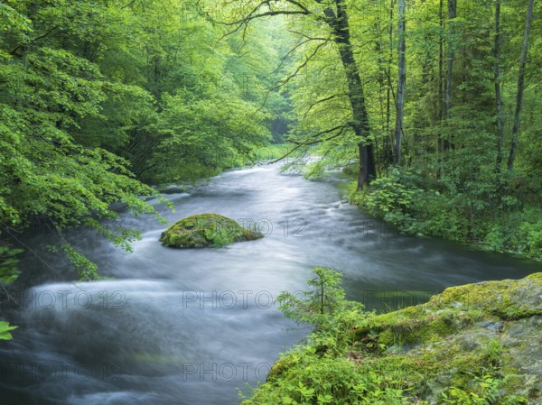 White water and rapids on the Trieb stream in the Triebtal nature reserve in Vogtland, Plauen, Saxony, Germany