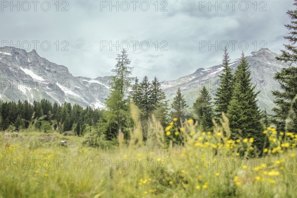 View of Hohe Sonnblick, Kolm Saigurn, Rauris, Pinzgau, Salzburg, Austria