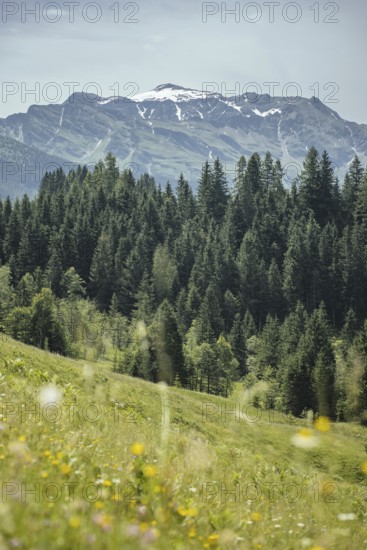View of Ritterkopf, Kolm Saigurn, Rauris, Pinzgau, Salzburg, Austria