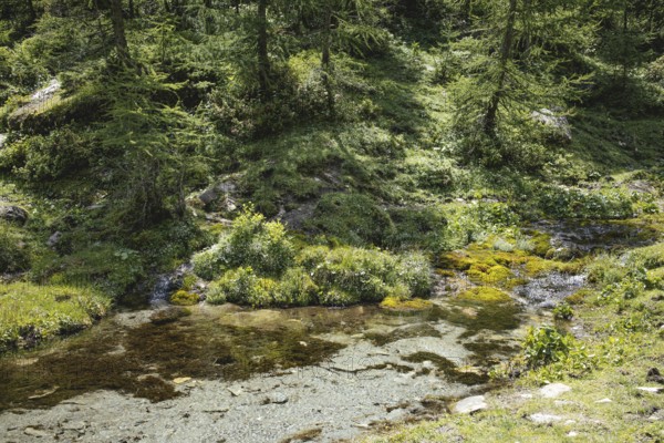 Krumlquelle, Rauris, Pinzgau, Salzburg, Austria