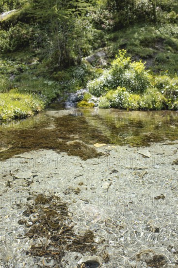 Krumlquelle, Rauris, Pinzgau, Salzburg, Austria