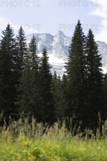 View of the Hoher Sonnblick, Rauris, Pinzgau, Salzburg, Austria