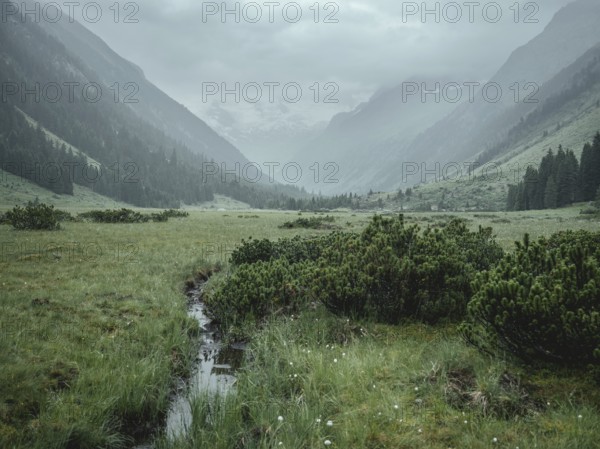 Krimmler Tauern, Pinzgau, Salzburg, Austria