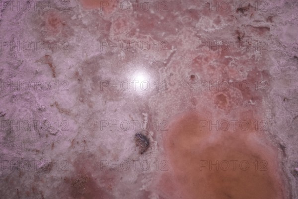 Salin-de-Giraud, Arles, France