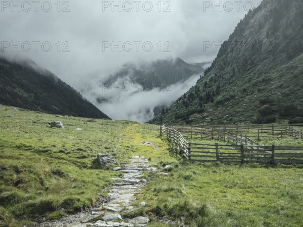 Historic mule track, Windbachtal, Krimmler Tauern, Pinzgau, Salzburg, Austria