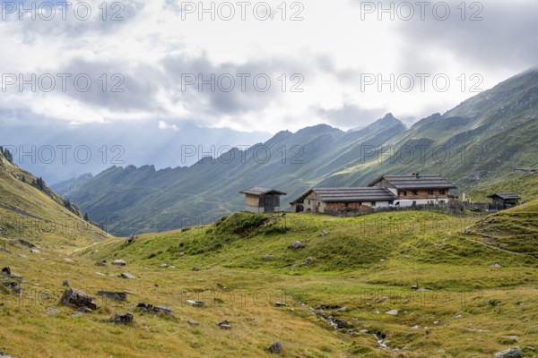 Alpine meadows with Martalm, Lazzacher Tal, Seven Lakes Hike, Stubai Alps, near Ridnaun, South Tyrol, Italy