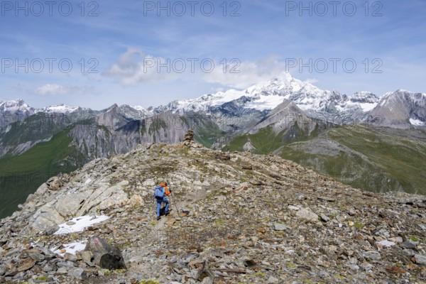 Mountaineer on a hiking trail, snow-covered and glaciated summit of the Großglockner in the background, Wiener Höhenweg, Schober Group, Hohe Tauern National Park, Carinthia, Austria