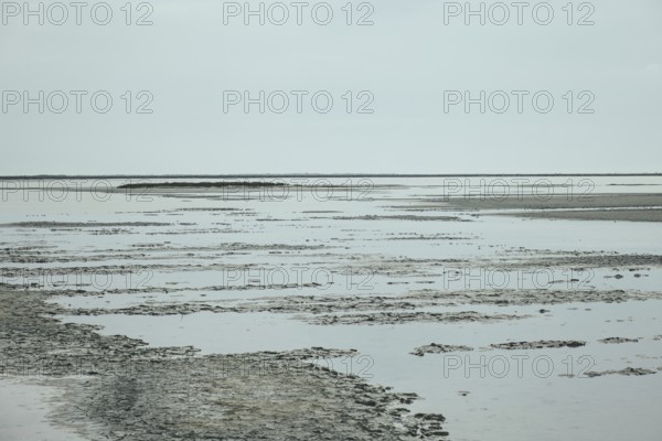 Rhone Delta, Arles, Provence, France