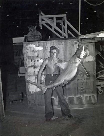 Man posing with shark. Grey reef shark (Carcharhinus amblyrhynchos, 1948