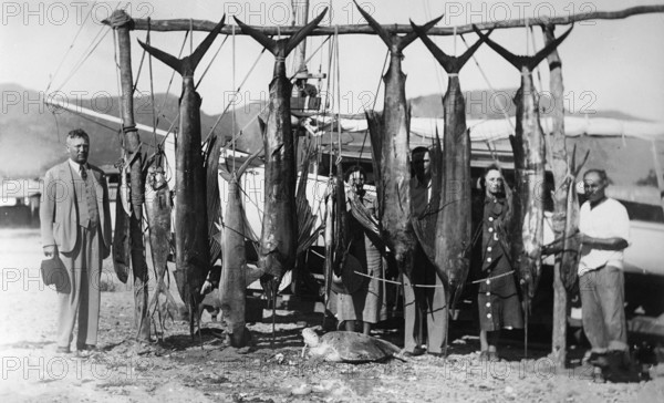 Fanfish (Istiophorus platypterus), sport fisherman Mexico, Acapulco de Juárez, 1925