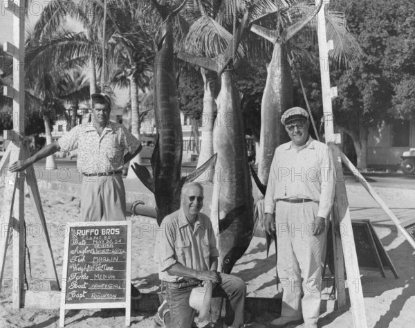 Striped marlin (Kajikia audax), three sport fishermen in la Paz, Baja California Sur, 1954
