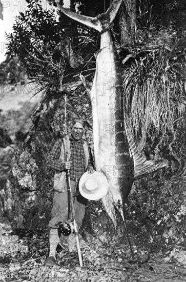 Striped marlin (Kajikia audax), 1930s, sport fisherman