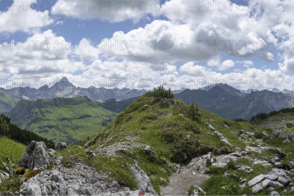 Mountain panorama from the Koblat high trail on the Nebelhorn over the Obertal valley with lush green alpine meadows to the Hochvogel and Rosszahn group with the Hochvogel, 2592m, Allgäu Alps, Allgäu, Bavaria, Germany
