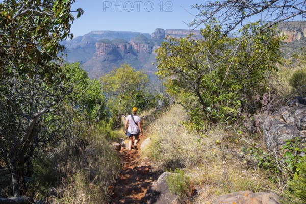 Hiker at the Blyde River Canyon Canyon landscape, Panorama Route, Mpumalanga, South Africa