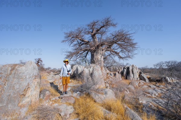Tourist, African baobab or baobab tree (Adansonia digitata), Dry landscape, Kubu Island (Lekubu), Sowa Pan, Makgadikgadi salt pans, Botswana